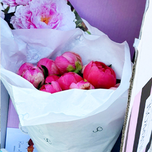 Rosen f&uuml;r den Versand verpackt