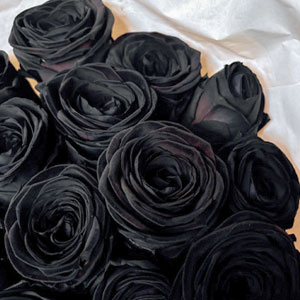 Schwarze Rosen bestellen