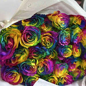 Kundenfoto - Regenbogen Rosen
