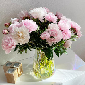 Kundenfoto - Rosa Pfingstrosen Kundenfoto - Rosa Pfingstrosen