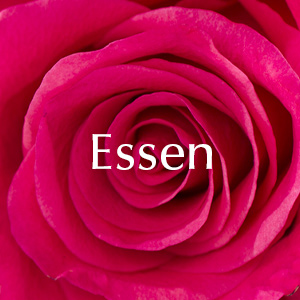 Bestellen und liefern in Essen Rosen verschicken nach Essen