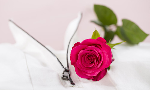 Fakten über Rosen Blog: Fakten über Rosen