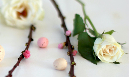 Früling Blog: Früling ins Haus