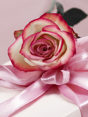 Rosen zum Geburtstag