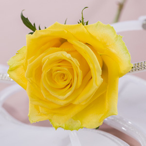 Gelbe Rosen kaufen Gelbe Rosen verschicken