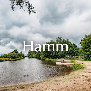 Bestellen und liefern in Hamm Rosen nach Hamm verschicken