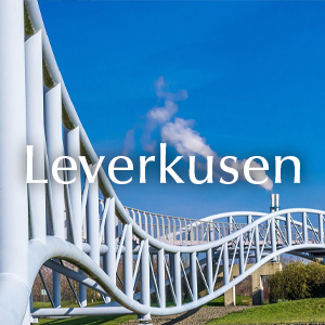 Rosenlieferung in Leverkusen