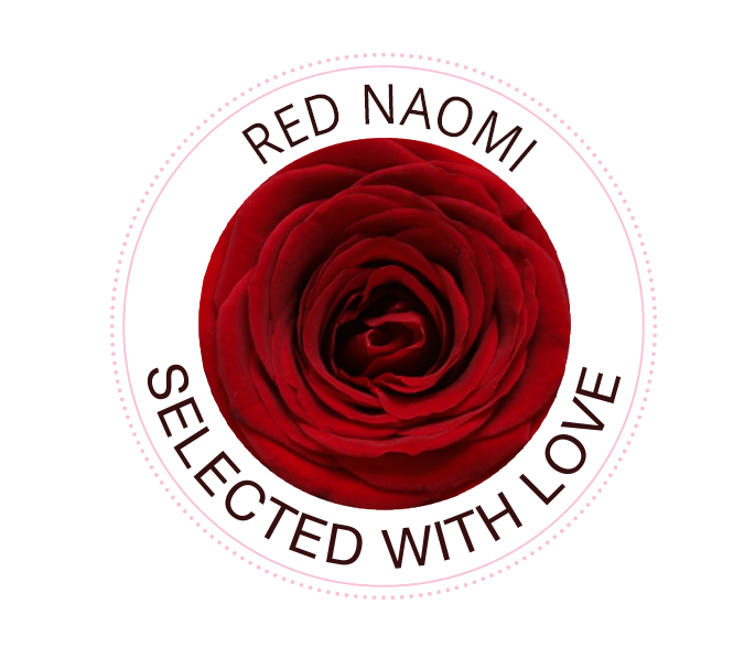 Red Naomi Rosen Red Naomi Rose