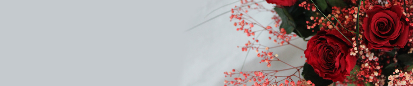 Konservierte Rosen kaufen Konservierte Rosen verschicken