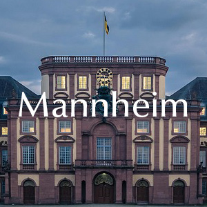 Rosenversand Mannheim Rosenlieferung in Mannheim