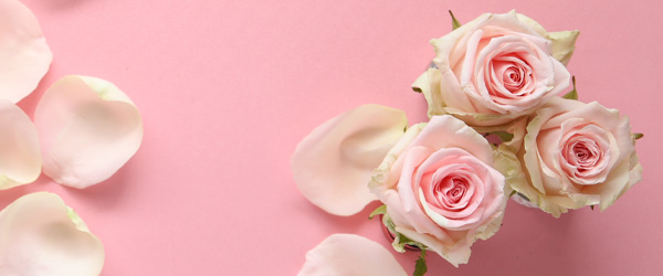 Minimalistische Blumensträuße Minimalistische Blumensträuße