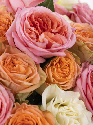 Mix-Bouquet Apricot-Rosa-Wei&szlig;