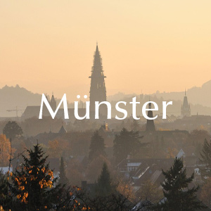 Bestellen und liefern in Münster Rosenlieferung in Münster