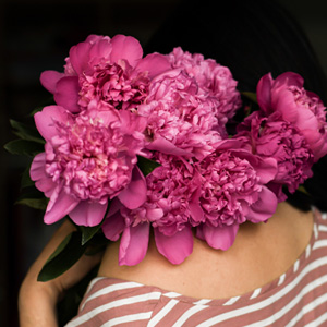 10 Pinke Pfingstrosen 10 Pinke Pfingstrosen