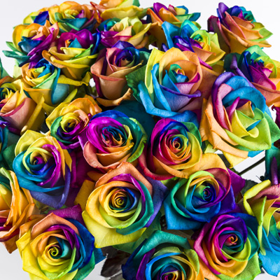 Regenbogen Rosen kaufen Regenbogen Rosen kaufen
