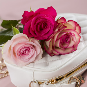 Rosa Rosen verschicken Rosa Rosen bestellen