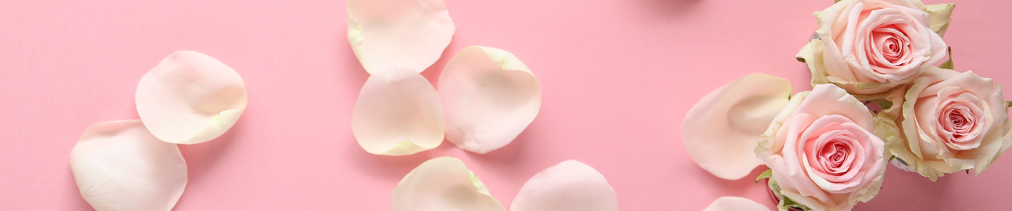 Rosa Rosen bestellen