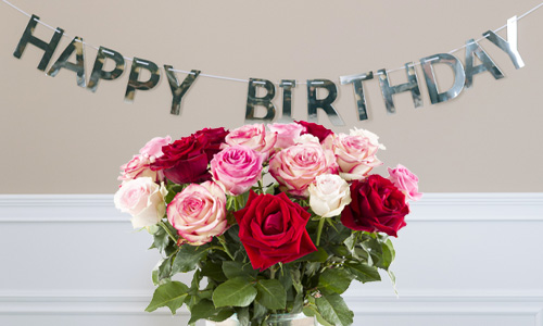 Rosen zum Geburtstag Guburtstagsrosen