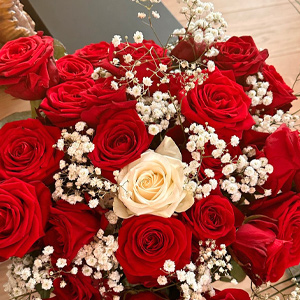 Rosen zum Geburtstag Rosen zum Geburtstag