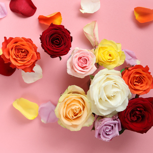 Blog: Symbolik Rosenfarben Blog: Symbolik Rosenfarben