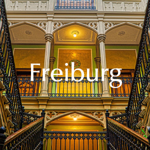 Rosen verschicken nach Freiburg
