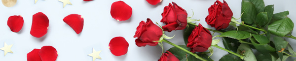 Rote Rosen f&uuml;r Weihnachten bestellen