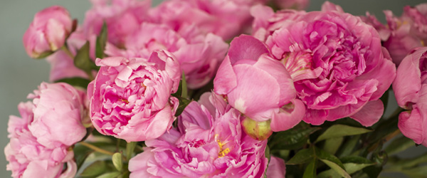 Saisonblumenstrauß Saisonblumenstrauß