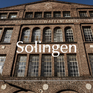 Rosen verschicken nach Solingen