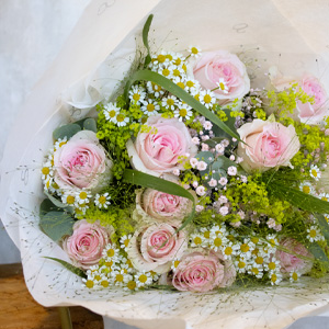 Rosa Sommerstrauß Rosa Sommerstrauß
