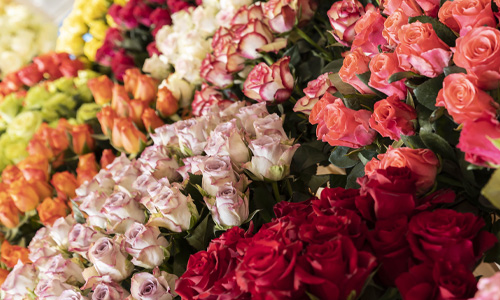Symbolik Rosenfarben Blog: Symbolik Rosenfarben