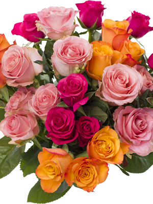 Bunte Rosen