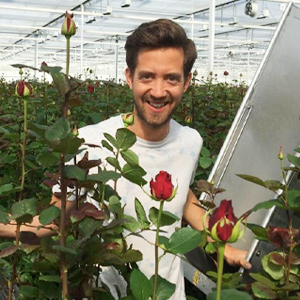 Tom Meewisse - Meewisse Roses