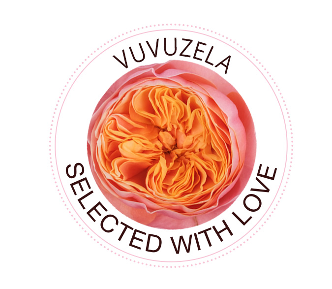 Vuvuzela Die Vuvuzela Rose