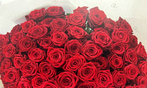 Rosen pro Stück Blog: Rosen pro Stück