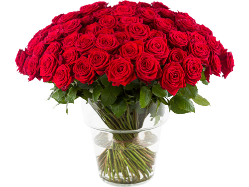 St&uuml;ckzahl Rote Rosen