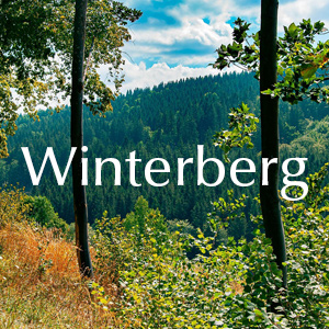 Rosen bestellen Winterberg Rosen verschicken nach Winterberg